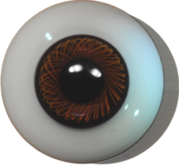 Paperweight-Eyes solid brown