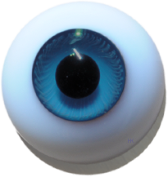 Lebende Augen massiv rund türkis