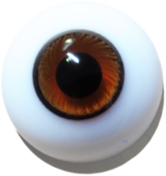 Living-Eyes solid braun-white