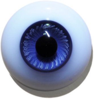 Lebende Augen massiv rund blau