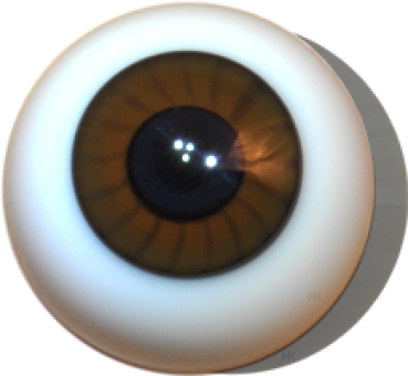 Doll-Eyes reborn brown