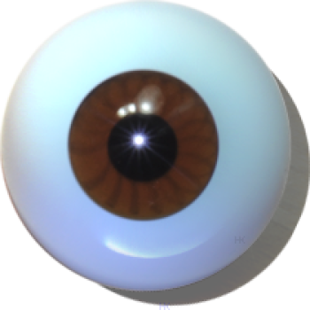Doll-Eyes hollow lightbrown