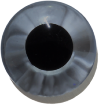 Bear-Eyes solid grey