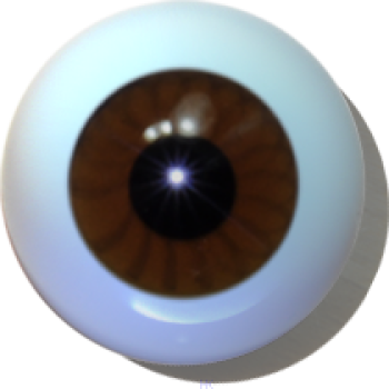Googlyaugen hohl braun
