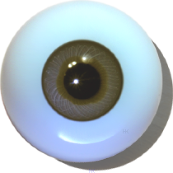 Irismuskelaugen hohl beige