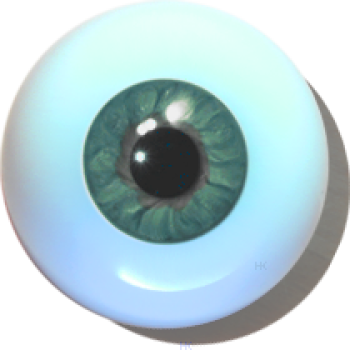 Designeraugen hohl graugrün