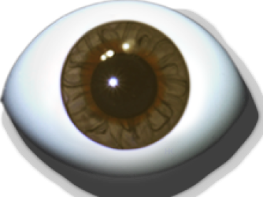 Designer-Eyes reborn shaped hazel