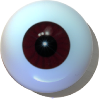 Puppenaugen hohl rehbraun