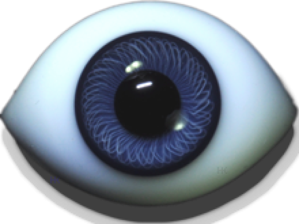 Paperweight-Eyes shaped darkblue