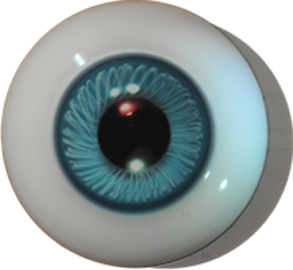 Paperweight-Eyes solid turquoise