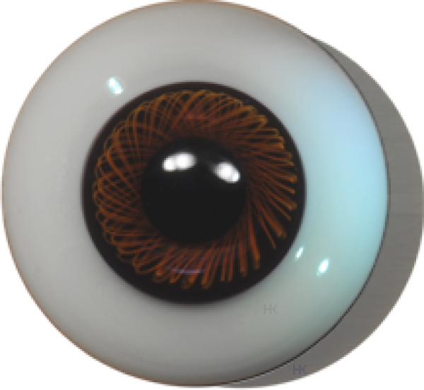 Paperweight-Eyes solid brown