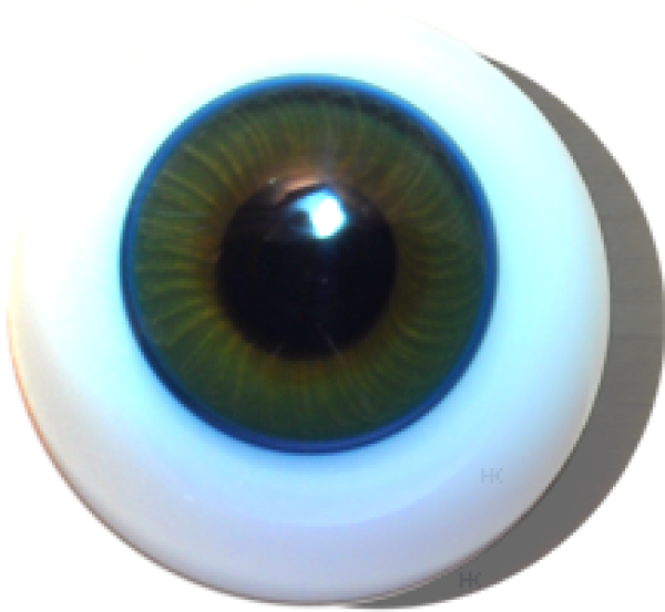 Irismuskelaugen reborn topas
