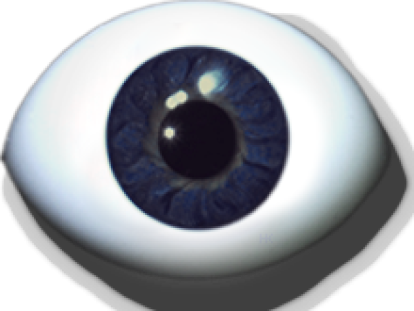 Designeraugen gezwickt schwarzblau