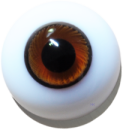 Lebende Augen massiv rund braunweiß