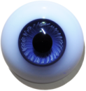 Lebende Augen massiv rund blau