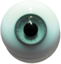 Lebende Augen massiv rund graugrün