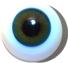 Irismuskelaugen reborn topas
